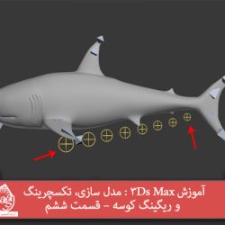 آموزش 3Ds Max : مدل سازی، تکسچرینگ و ریگینگ کوسه – قسمت ششم