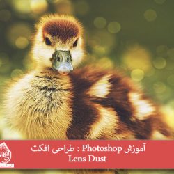 آموزش Photoshop : طراحی افکت Lens Dust