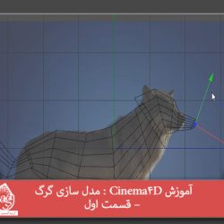 آموزش Cinema4D : مدل سازی گرگ – قسمت اول