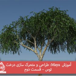 آموزش  Maya: طراحی و متحرک سازی درخت توس – قسمت دوم