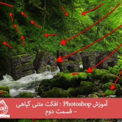 آموزش Photoshop : افکت متنی گیاهی – قسمت دوم