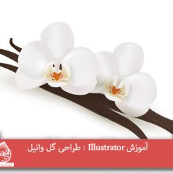 آموزش Illustrator : طراحی گل وانیل