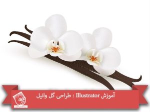 آموزش Illustrator : طراحی گل وانیل
