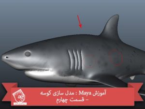 آموزش Maya : مدل سازی کوسه – قسمت چهارم