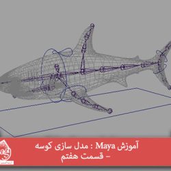 آموزش Maya : مدل سازی کوسه – قسمت هفتم